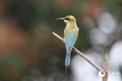 <b>这座城市添加了很多朝气取活力</b>